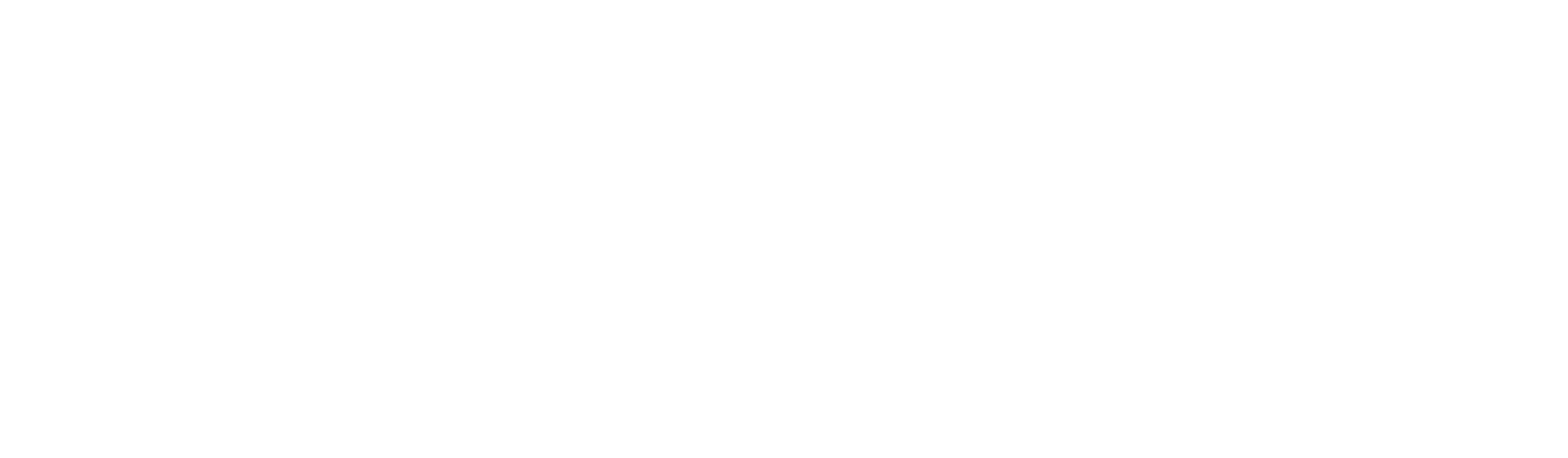 Logo for Berkley County